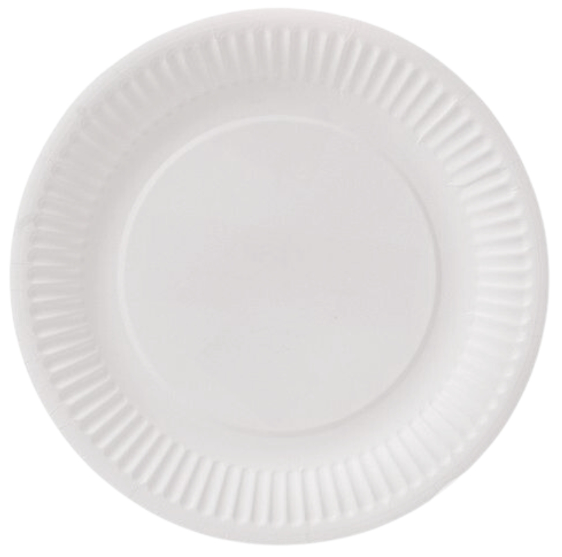 Pappteller Ø 23 cm Frischfaser weiß (Bio)